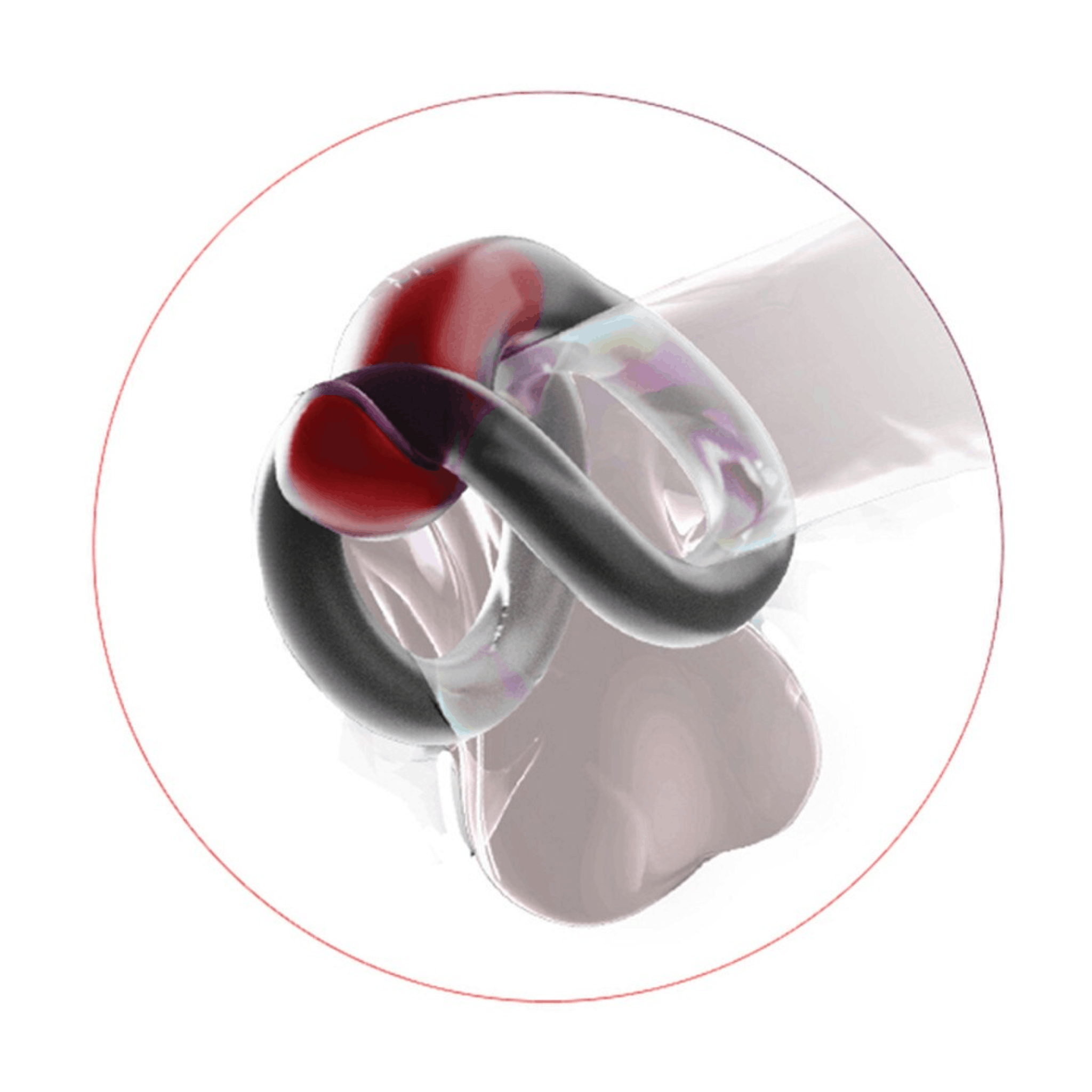 FirmTech TechRing – Smart Erection Ring for Performance & Health Tracking